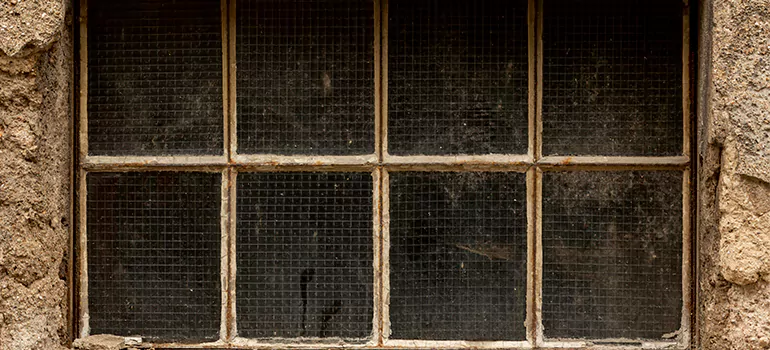Traditional Double Front Doors in Seminole, FL