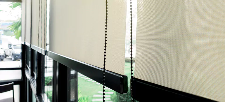 Blackout Window Shades in Seminole, FL