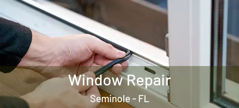  Window Repair Seminole - FL